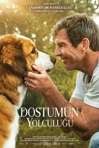 Dostumun Yolculuğu