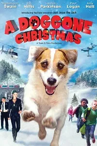 Muhteşem Köpek