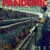 Pandemic: How to Prevent an Outbreak