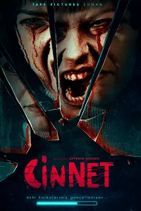 Cinnet