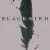 Black Bird
