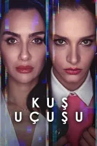 Kuş Uçuşu