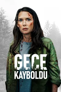 Gecede Kaybolmak