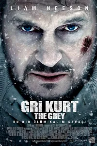 Gri Kurt