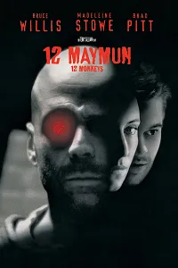 12 Maymun