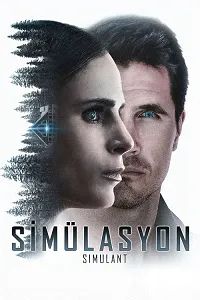 Simülasyon