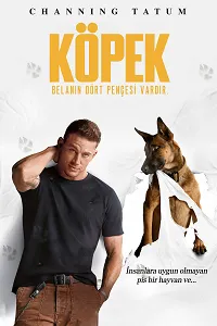 Köpek