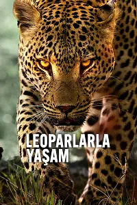 Leoparlarla Yaşam
