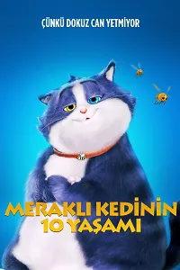 Meraklı Kedinin 10 Yaşamı