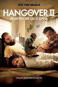 Felekten Bir Gece 2