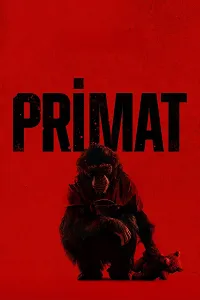Primat