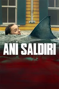 Ani Saldırı
