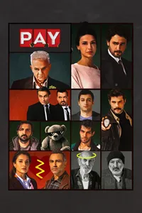 P.A.Y