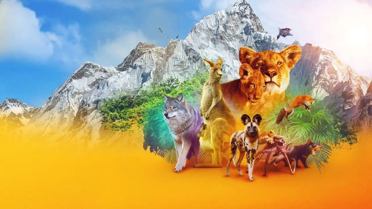 Animal 2. Sezon 3. Bölüm