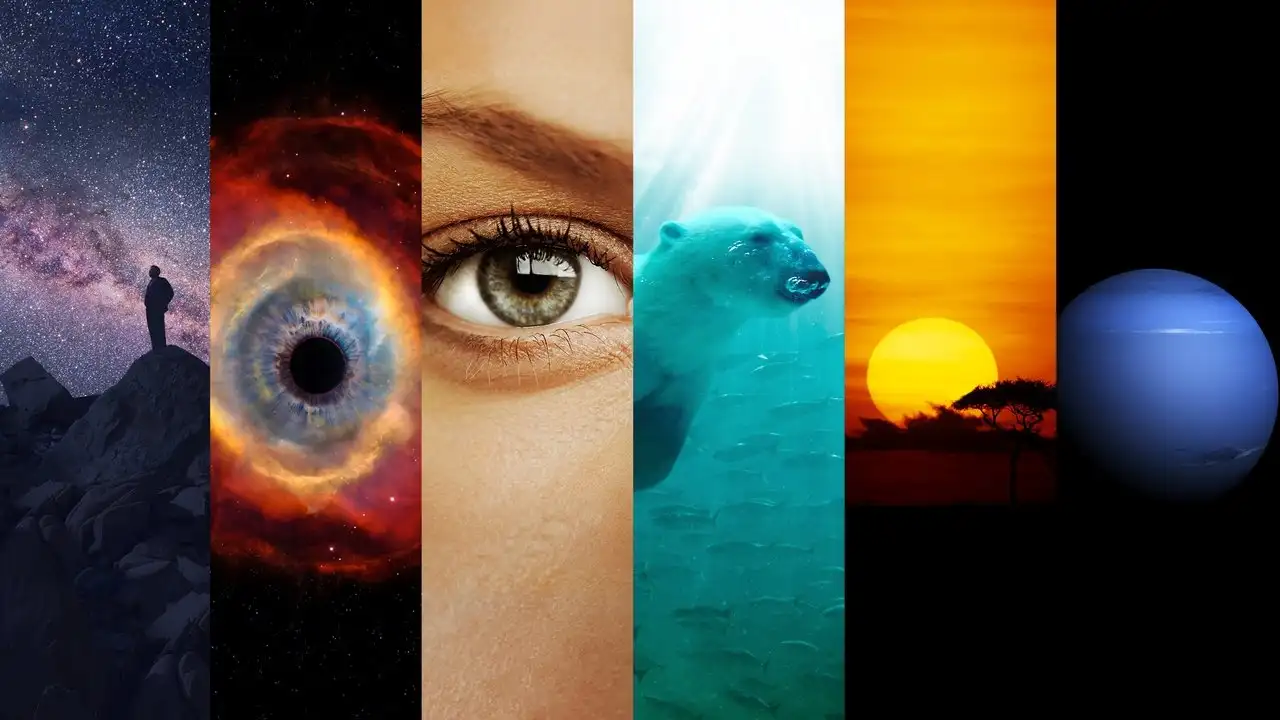 Cosmos 1. Sezon 4. Bölüm