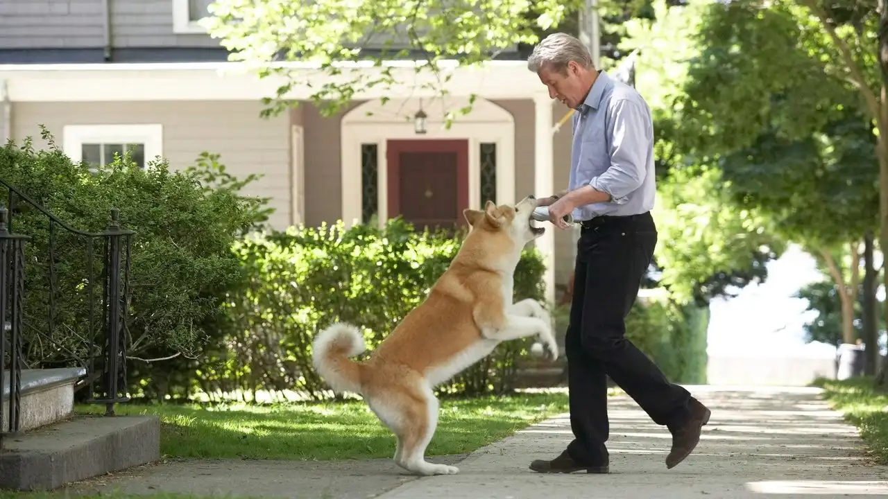 Hachi: Bir Köpeğin Hikayesi