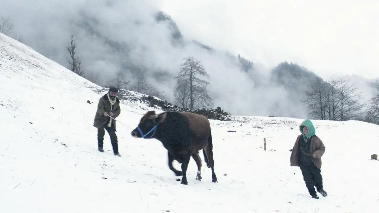 Kalandar Soğuğu