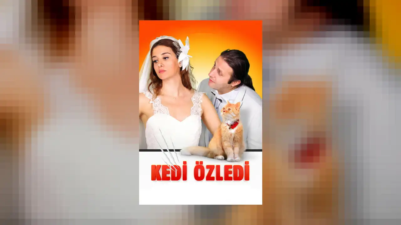 Kedi Özledi