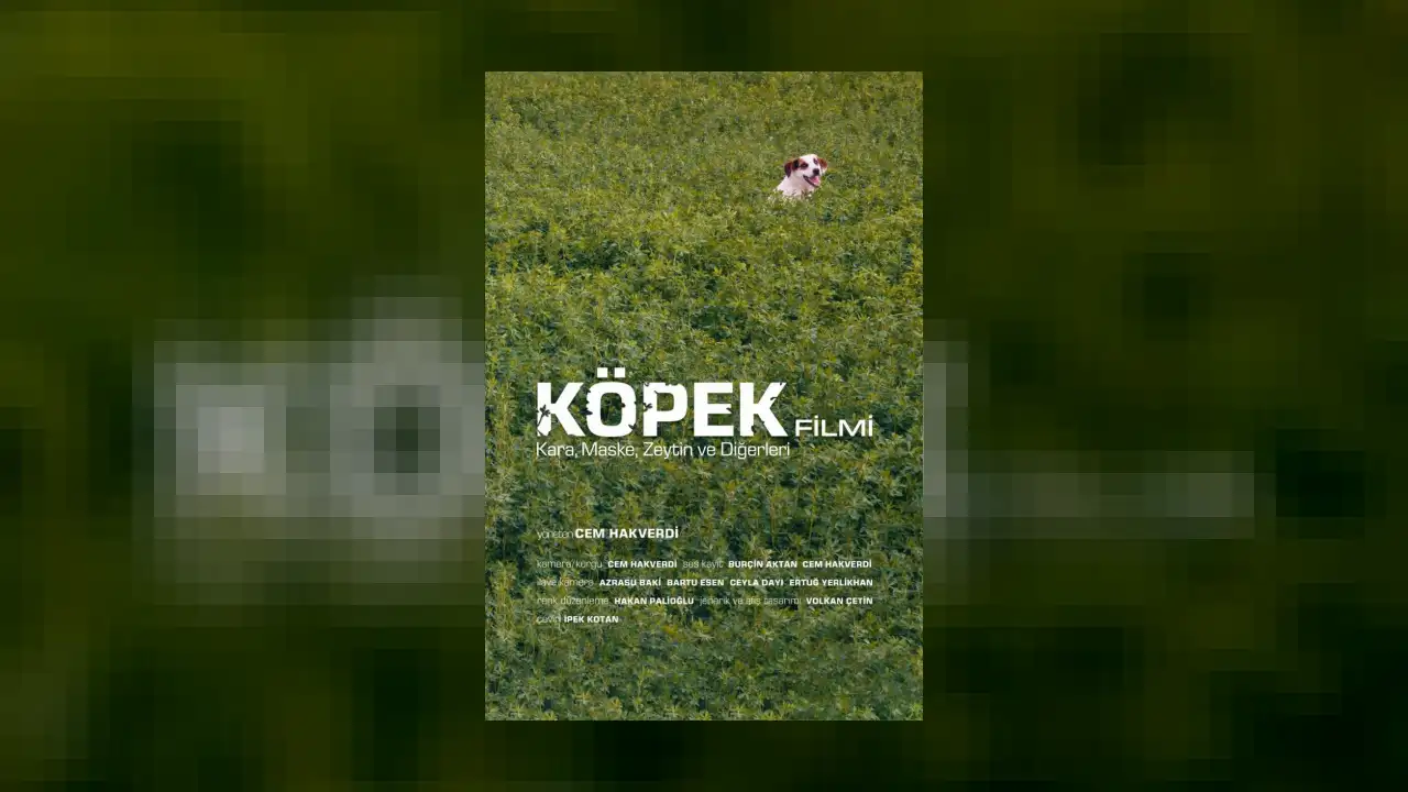 Köpek Filmi