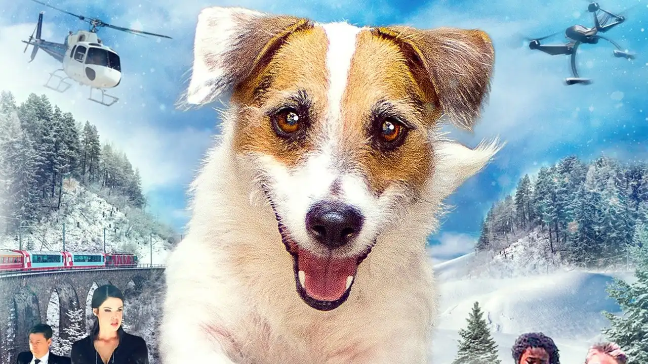 Muhteşem Köpek