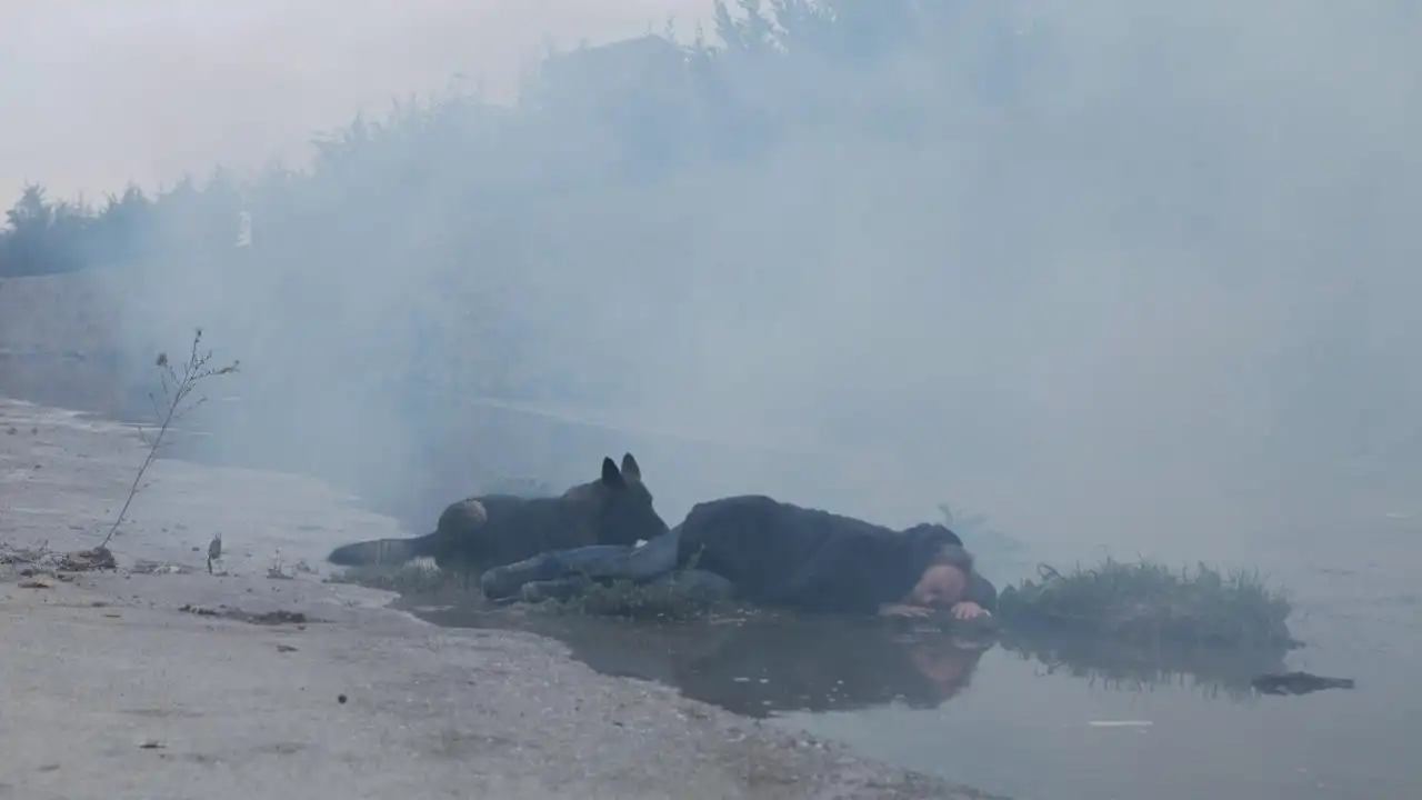 Neden Tarkovski Olamıyorum…