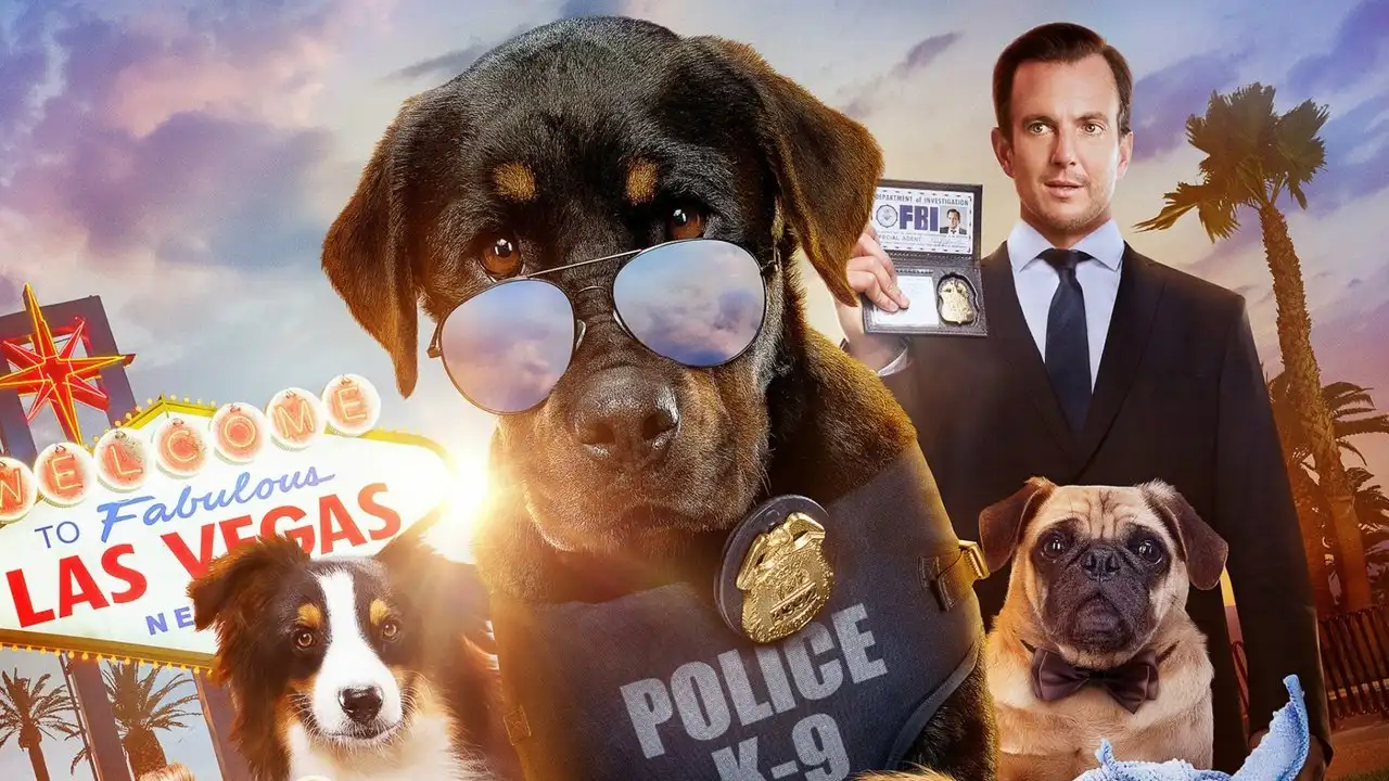 Şow Köpekleri