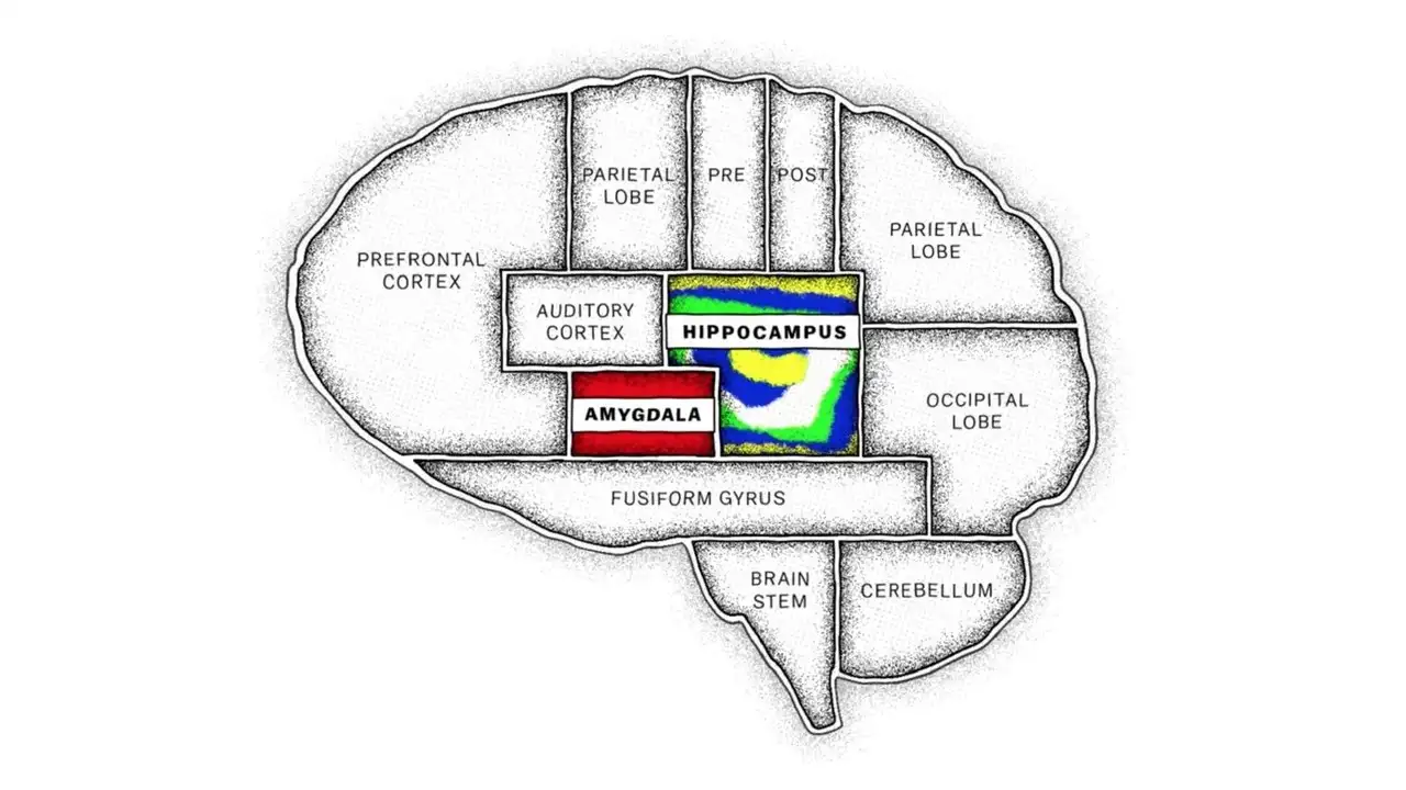 The Mind, Explained 1. Sezon 2. Bölüm
