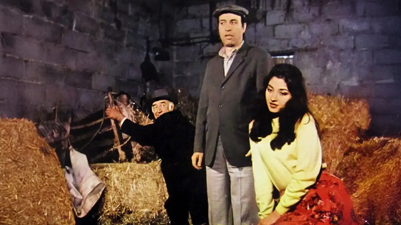 Tokatçı