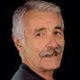 Ali İpin