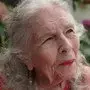 Ann Shulgin