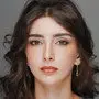 İpek Arkan