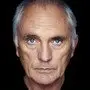Terence Stamp